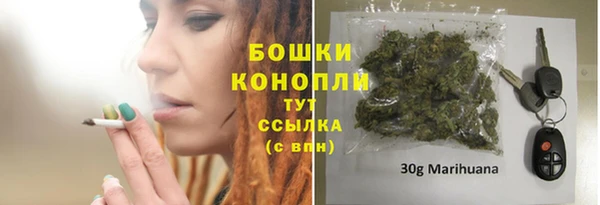 прущие грибы Сафоново